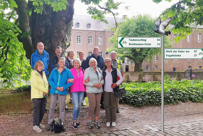 Brieftauben in Arcen Pause am Kasteel Arcen/Maas