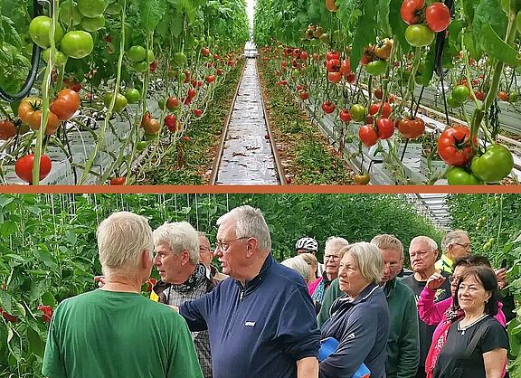 Interessiert verfolgte die Gruppe die Erläuterungen von "Gemüse-Chef" Hugo Runtenberg