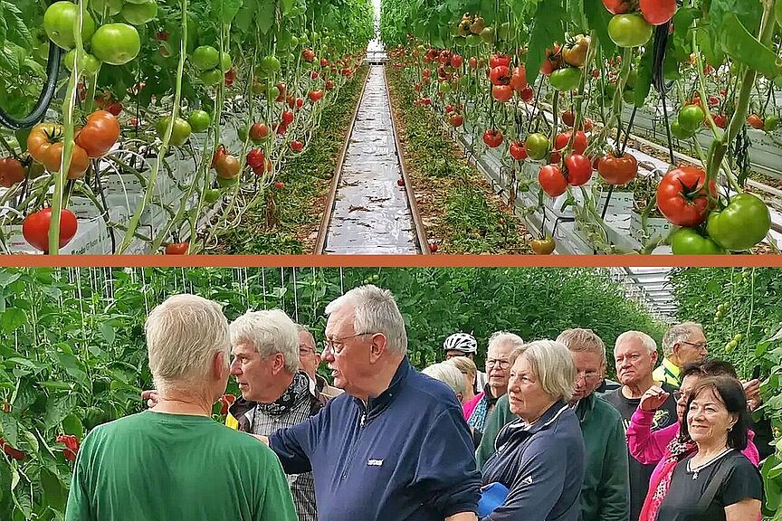 Besichtigung Gemüseanbau Runtenberg Interessiert verfolgte die Gruppe die Erläuterungen von "Gemüse-Chef" Hugo Runtenberg